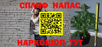 скорость Новозыбков