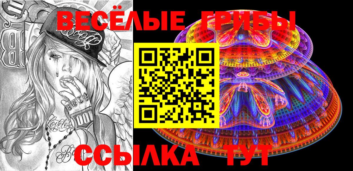 Волхов  Псилоцибиновые грибы прущие грибы  Вход с VPN 
